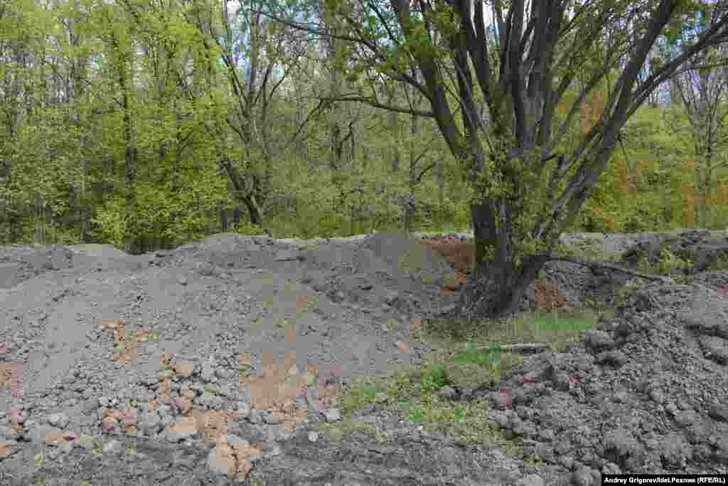 Или - здесь. КАМАЗ сбрасывал грунт в непосредственной близости от дерева. Кадр сделан 19 мая. 