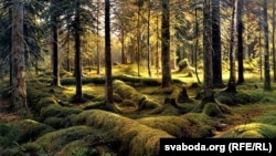 Ilustrativna fotografija