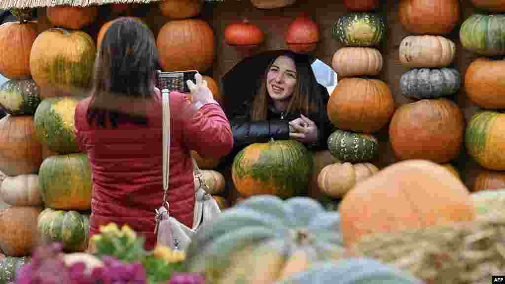 A szervezők több mint ötezer tököt vittek a helyszínre. A formák és a színek variációi szine végtelenek