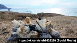 Собранный волонтерами мазут, 9 января 2025 года 