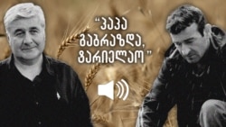 ალექსი ცაძიკიძე ჰყვება როგორ დაათესინა „კაკაშამ“ სახელმწიფო ნაკვეთი და წაართვა მოსავალი ალექსი ცაძიკიძე ჰყვება როგორ დაათესინა „კაკაშამ“ სახელმწიფო ნაკვეთი და წაართვა მოსავალი