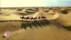 د سېپټېمبر ۲۳مې ویډیويي خبرونه د سېپټېمبر ۲۳مې ویډیويي خبرونه