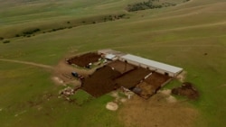 ვანო გომიაშვილის ფერმა, იაღლუჯის საძოვარი, 2025 წლის გაზაფხული