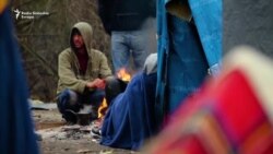 Ko tuče migrante? Ko tuče migrante?