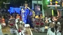 Шри-Ланка: нападение слонов на религиозном празднике (видео) Шри-Ланка: нападение слонов на религиозном празднике (видео)