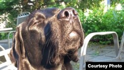 "Za nju je naprosto bolje ono što je ultimativno dobro, od onoga što je privremeno loše"