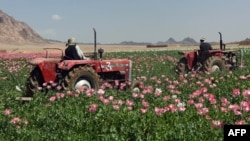 بختیار: روان کال به هم د نشه‌يي موادو په وړاندې مبارزه ګړندۍ شي.