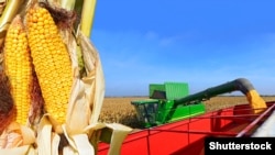 Ilustrativna fotografija