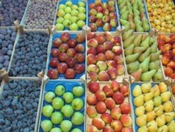 Proizvođači apeluju na pomoć države