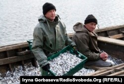 Выловленную тюльку сдают переработчикам