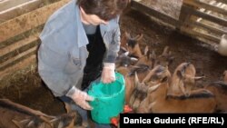 Cilj projekta je da se podstakne priveda na selu