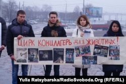 За словами учасників акції, тварини у цирку в Дніпрі здаються виснаженими і хворими