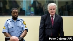 Radovan Karadžić osuđen je zbog genocida i zločina protiv čovječnosti u Haškom tribunalu na doživotni zatvor, Hag, 20. marta 2019.