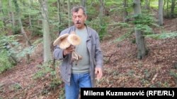 Ivanin otac, biolog Predrag Peca Petrović, u berbi gljiva.