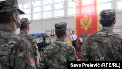 Crna Gora je potpuno kredibilan partner: Marinko Aleksić