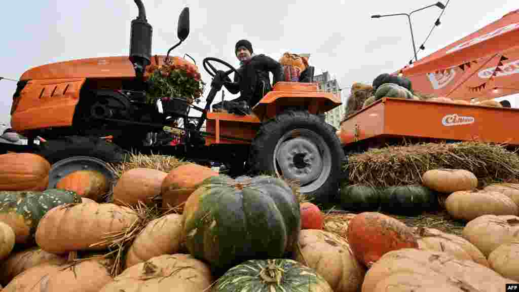 A tökök szállítására használt traktornak is passzolnia kellett a fesztivál névadójához