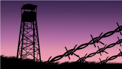 Подкаст "Острова смерти". Эпизод 2 - Медвежонок убитого инженера Подкаст "Острова смерти". Эпизод 2 - Медвежонок убитого инженера