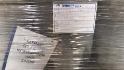 Živa na kućnom pragu Živa na kućnom pragu