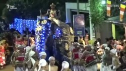 Слони накинулися на людей під час свята на Шрі-Ланці – відео Слони накинулися на людей під час свята на Шрі-Ланці – відео