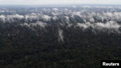 Amazon u plamenu i dimu