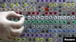 Ljudski genetski materijal, ilustrativna fotografija