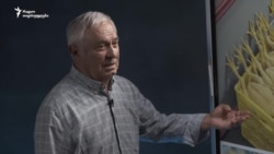 „ეს არის ხელოვნურად გაყვითლებული“ - ზოოტექნიკოსი შეღებილ ქათმებზე „ეს არის ხელოვნურად გაყვითლებული“ - ზოოტექნიკოსი შეღებილ ქათმებზე