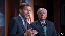 Сенаторы Линдси Грэм и Ричард Блументол (Архивное фото)