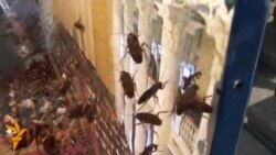 «В об’єктиві Свободи» (8–12 липня) «В об’єктиві Свободи» (8–12 липня)