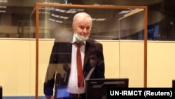 Младич наполягає на своїй невинуватості