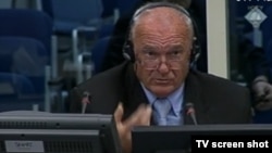 Nizozemska, Hag, Milenko Živanovic, svjedok na suđenju Radovanu Karadžiću pred Međunarodnim krivičnim sudom za bivšu Jugoslaviju, 31. oktobar 2013. godine