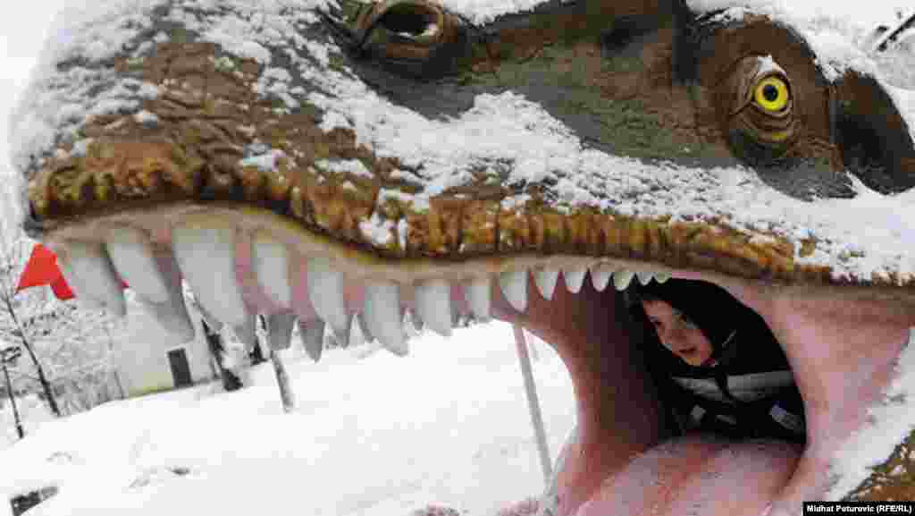BiH - U Pionirskoj dolini postavljena izložba ''Svijet dinosaura'', Sarajevo, 25. januar 2012.