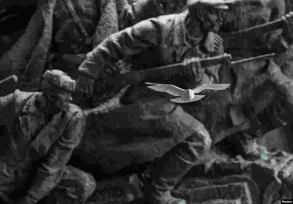 Голубь летит перед барельефом времен Советского Союза в Национальном музее истории Украины, Киев, Украина, 8 мая 2025 года. REUTERS/Gleb Garanich