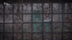 «Попаде, так попаде» – діти Донбасу живуть на лінії зіткнення (відео) «Попаде, так попаде» – діти Донбасу живуть на лінії зіткнення (відео)