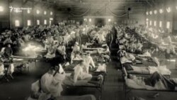 Zaraze odnele više života od ratova i gladi Zaraze odnele više života od ratova i gladi