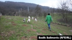 Prema najavama iz Ministarstva spoljne trgovine i ekonomskih odnosa BiH popis poljoprivrede u BiH trebao bi početi 2023. godine, kako bi se stekao uvid u stvarno stanje u poljoprivrednom sektoru