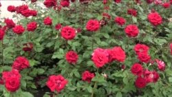 Історичні будівлі Донецька руйнуються II Історичні будівлі Донецька руйнуються II