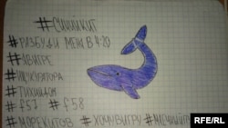 Društvenu online igru "Plavi kit" neki povezuju sa slučajevima samoubistava i samopovređivanja među maloljetnicima u Rusiji i centralnoj Aziji