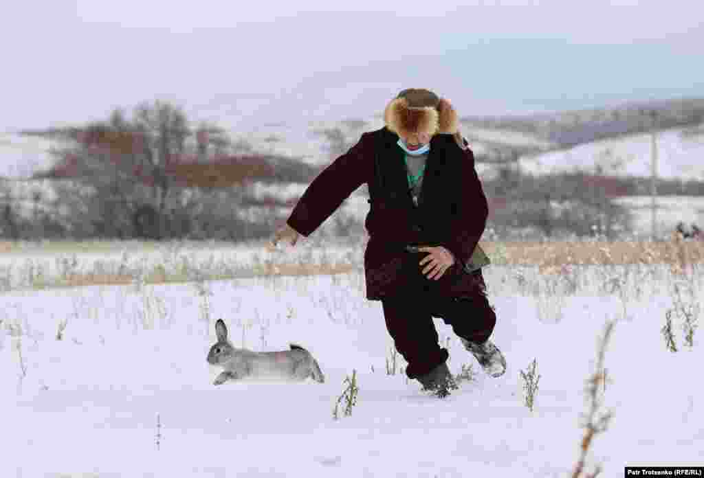Якщо хижий птах не знаходить дичину самостійно, кролика доводиться ловити учасникам турніру, щоб повернути в клітку. Якщо ж птахові все-таки вдається зловити кролика, його, як правило, намагаються врятувати
