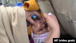 په پاکستان کې د تېر کال پرتله سږ کال د پولیو زیات کیسونه مخې ته راغلي دي.