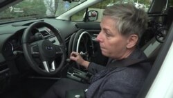 Ісландія: на візку без обмежень – відео