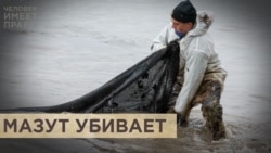 Мазут: опасно для жизни! Мазут: опасно для жизни!