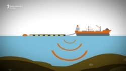 Crna Gora između 'crnog zlata' i ekologije Crna Gora između 'crnog zlata' i ekologije