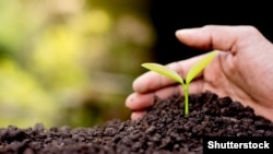 Ilustrativna fotografija