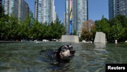 Stručnjaci kažu da se očekuje da će klimatske promjene povećati učestalost ekstremnih vremenskih prilika, poput vrućina.
