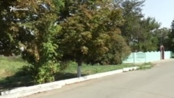 «Нас просто травят» Как пострадали в Херсонской области от испарений в Крыму (видео) «Нас просто травят» Как пострадали в Херсонской области от испарений в Крыму (видео)