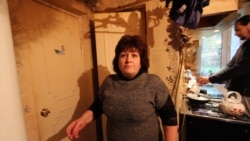 Новые крепостные или жизнь на конюшне Новые крепостные или жизнь на конюшне