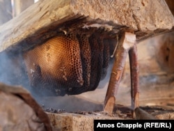 ფიჭები ხის ფუღუროში