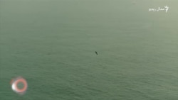 د اګست پېنځمې ویډيويي خبرونه