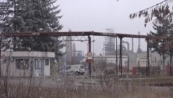 Jeftina nafta ili da komšiji crkne krava Jeftina nafta ili da komšiji crkne krava