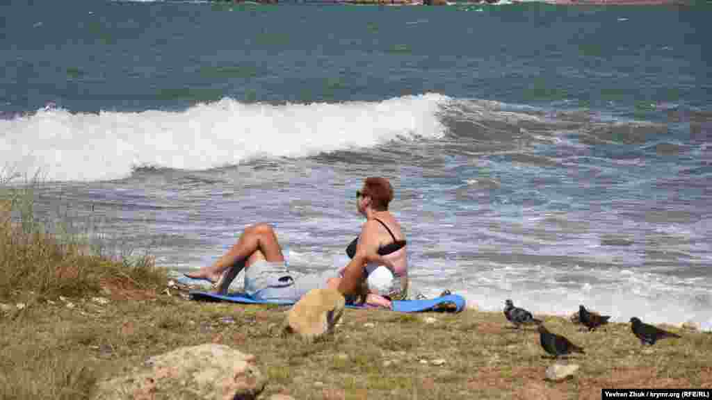 Пляж «Дикая Омега» – уголок живой природы в Гагаринском районе города